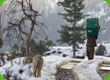 Eine Person tr&auml;gt eine ShelterBox durch den Schnee