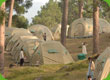 Ein Camp in einem Wald