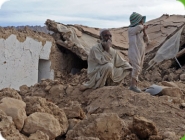 Pakistan VIII